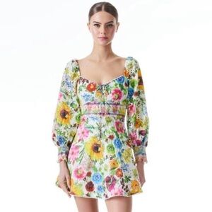 NWT: Alice + Olivia Crawford Sweetheart Floral Dress